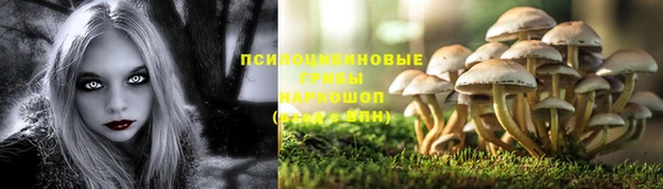 круглые Абаза