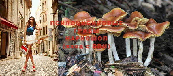 спиды Абдулино