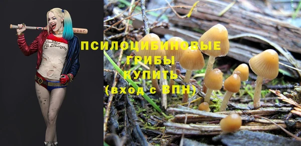 спиды Абдулино