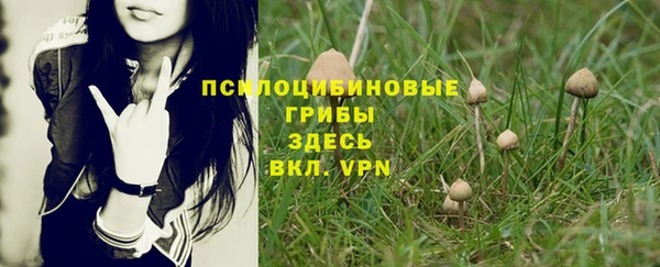круглые Абаза