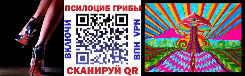 Псилоцибиновые грибы Psilocybe что такое Фокино