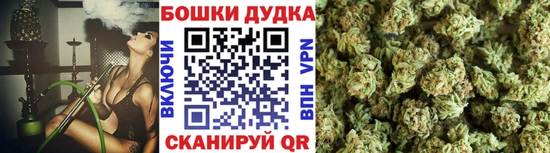 магазин продажи наркотиков  Фокино  Шишки марихуана THC 21% 